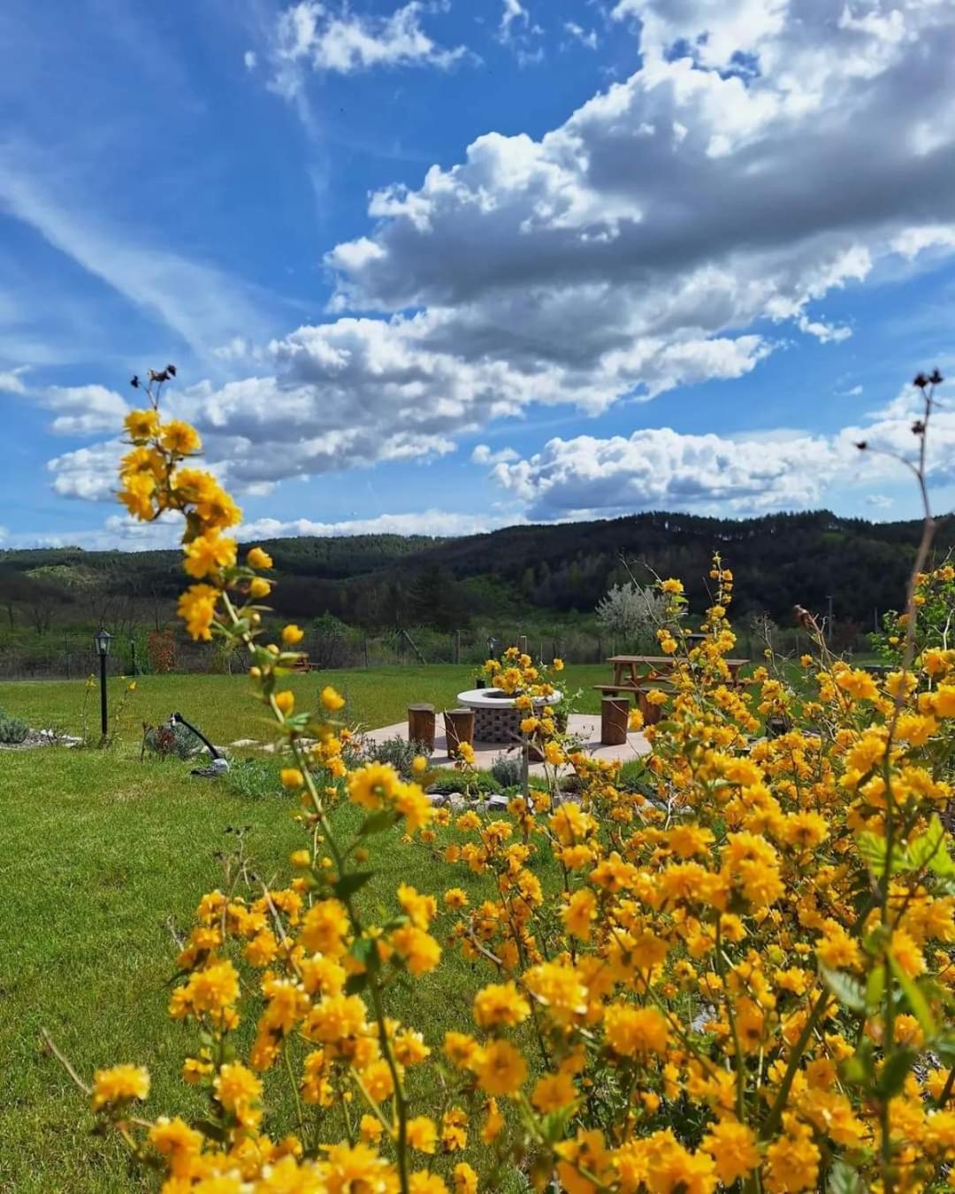 Zöld Terasz Vendégház Egerszalók Esterno foto