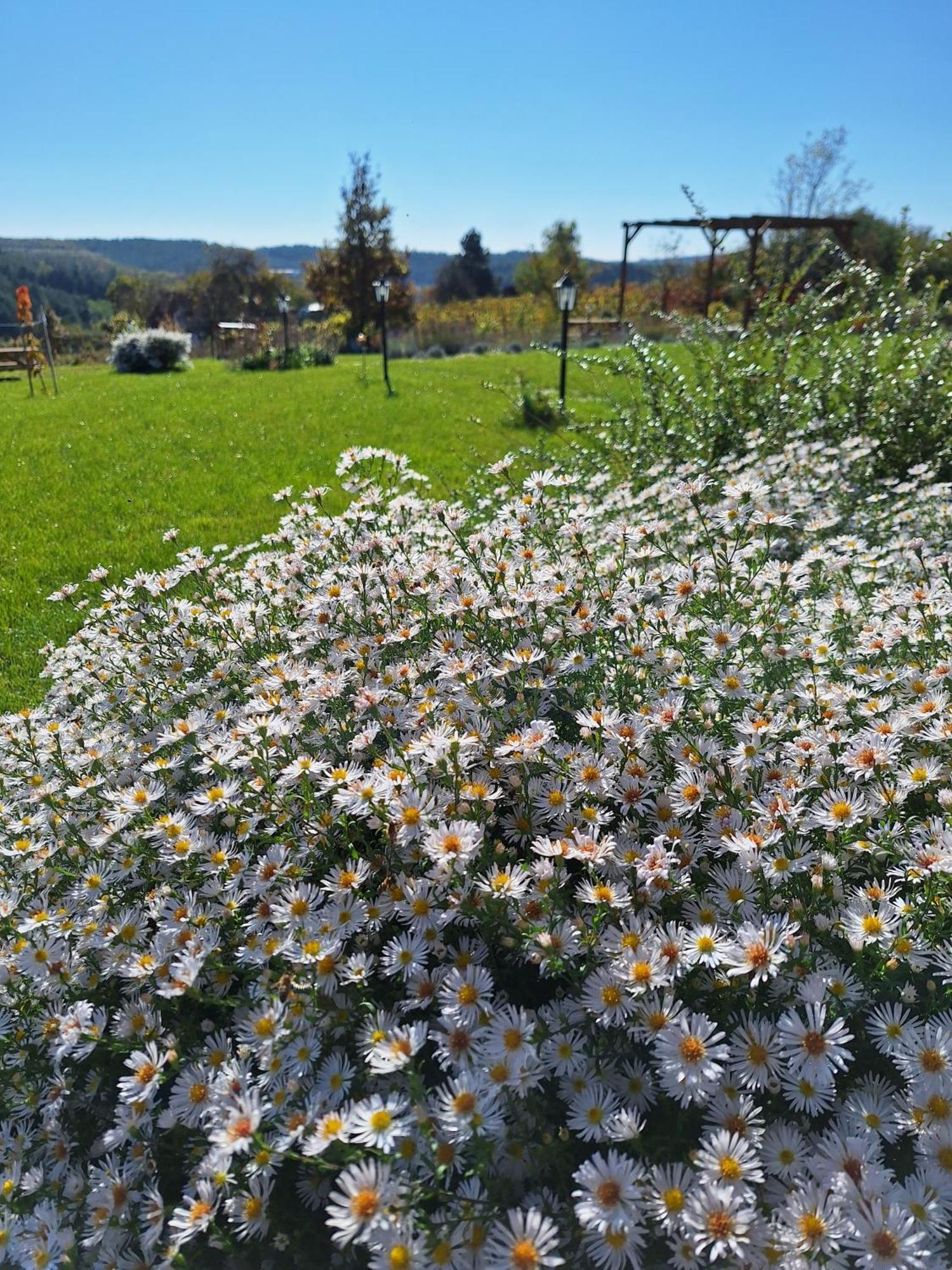 Zöld Terasz Vendégház Egerszalók Esterno foto